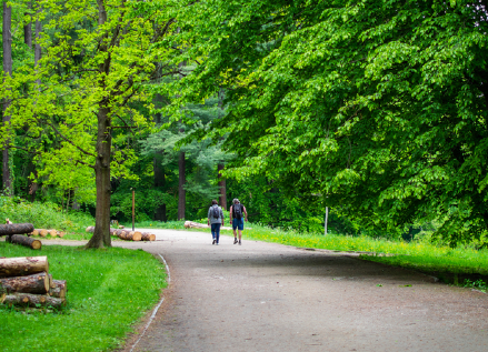 Walk & Talk Therapy based in Heaton Moor Stockport